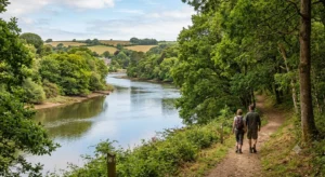 Best Woodland and Riverside Walks Near Tresillian